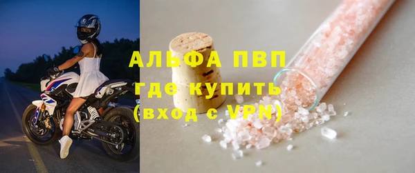 гидра Богородск