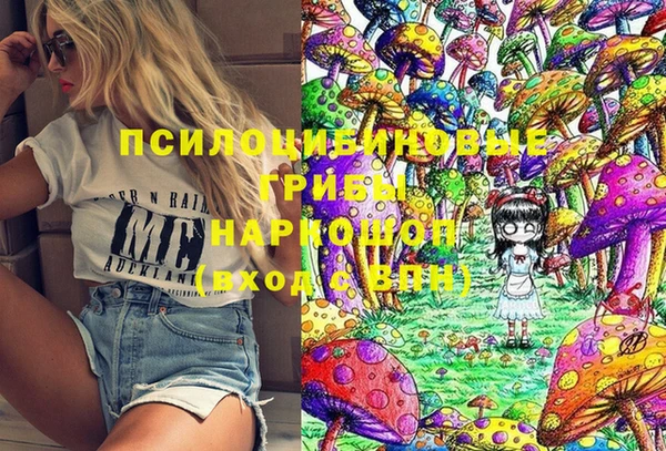 прущий лед Белокуриха